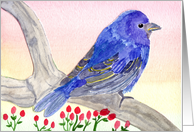 Blue Bird on a Branch card