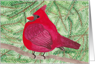 Chunky the Cardinal card