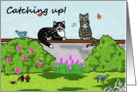 Whimsical Cats sitting on a wall , talking in a sunny garden. card