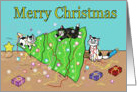 Kittens Decorating the Christmas Tree card