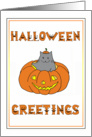 Cute Halloween Kitty in a Pumpkin card