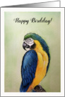 Happy Birthday - Ara Watercolor Painting & Happy BirdDay Pun card