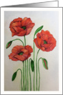 Happy Birthday - Red Poppy Flowers; Text Inside card