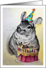 Happy Birthday - Chinchilla card