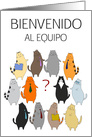 Welcome to the Team / Bienvenido al Equipo - Cute Business Kitties card