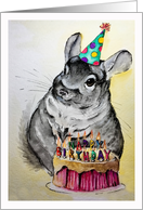 Happy Birthday - Chinchilla card