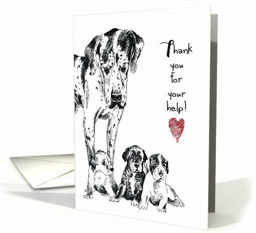 Dog Great Dane Puppy Litter Whelping Help Thank You card (1515566)