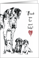 Dog Great Dane Puppy Litter Whelping Help Thank You card