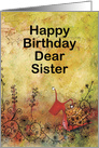 Cute Red Snail for a Dear Sister Birthday card