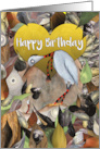 Happy Birthday Little Ergot Bird with Stripy Worm card