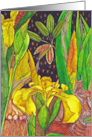 Blank Modern Botanical Yellow Iris Flowers card