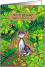 Happy Birthday Dearest Father in Law Cat in Tropical Garden card