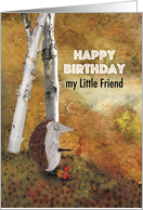 Hedgehog Pointing and Snail Sitting on a Hill, Friend’s Birthday card