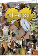 Get Well Soon Little Ergot Bird with Stripy Worm card