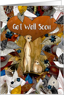 Get Well Soon Two Meerkats with Leaves and Flowers card
