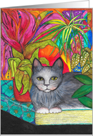 Blank card Grey Cat sitting on a book with bright colourful plants card
