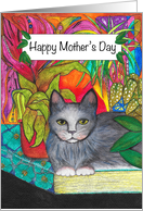 Happy Mother’s Day Grey Cat sitting on a book card