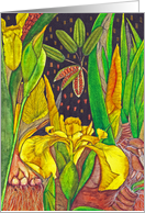 Blank Modern Botanical Yellow Iris Flowers card