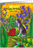 Happy Birthday Dearest Wife Black and White Cat in Garden card