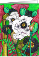 Blank Modern Botanical Poppies card