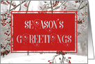 Season’s Greetings, Red Berries in Snow, Winter Scene card