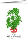 Merry Cheesemas, Swiss Cheese Plant, Monstera Deliciosa, Plant card