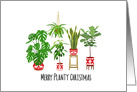 Merry Planty Christmas, Plants, Monstera, Snake Plant, Ficus, Avocado card
