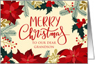 OUR Grandson Christmas with Holly, Poinsettia & Faux Gold Leaves card