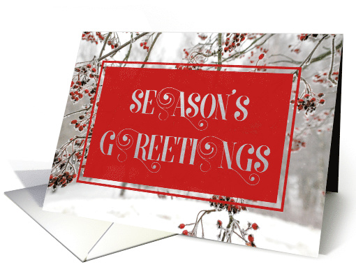 Season's Greetings, Red Berries in Snow, Winter Scene card (1487822)