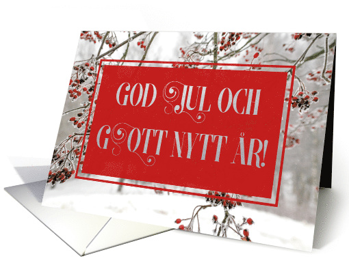 Red Berries in Snow, Winter Scene, Swedish card (1487824)