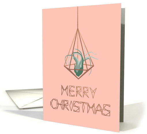 Merry Christmas, Geometric Terrarium, Air Plant, Modern card (1520184)