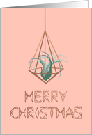 Merry Christmas, Geometric Terrarium, Air Plant, Modern card