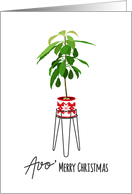 Avo Merry Christmas, Avocado, Plant card