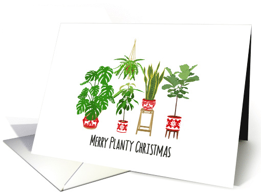 Merry Planty Christmas, Plants, Monstera, Snake Plant,... (1580066)