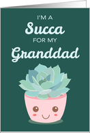 Valentines Day Im a Succa for My Granddad Kawaii Succulent Plant card