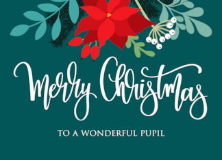 Pupil Merry Christmas Poinsettia Rose Hip and Hand Lettering