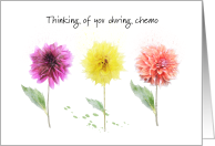 Thinking of You, Chemo Treatments, Colorful Flowers card