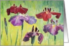 Calamus for Birthday card