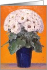 White Chrysanthemum Flowers for Mother’s Day card