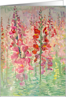 Pink and Red Lupines for Birthday card