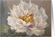 White Rose for Birthday card