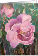 Camellias for Birthday card