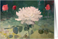 A Big Withe Rose in a Garden for Birthday card