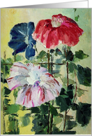 Morning Glory Flowers for Mother’s Day card