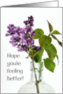 Get Well Cheerful Purple Lilac Floral Arrangement Blank card