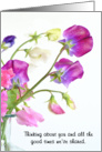 Thinking of you Purple Sweet Peas card