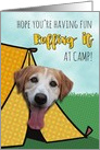 Ruffing It At Camp, Cute Dog in Tent card