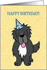Happy Birthday, Cartoon Newfoundland Dog card