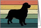 Congratulations on Adoption of Golden Retriever Dog card