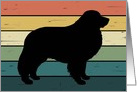 Great Pyrenees Dog on Retro Rainbow Background card